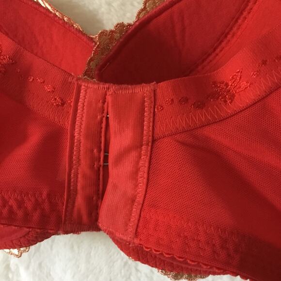 Wacoal Elegant Red and Gold Lace Bra - Picture 11 of 15